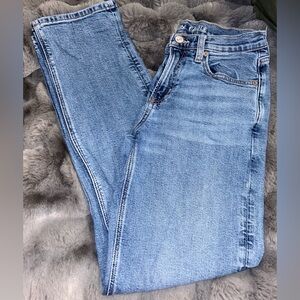American Eagle Outfitters 90’s Straight Jeans